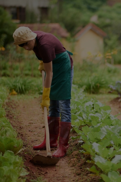 Agriculture